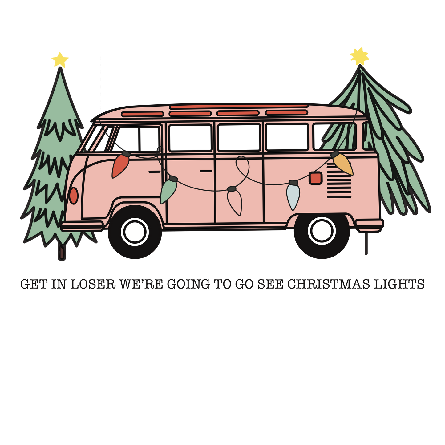 Van Going to see Christmas lights