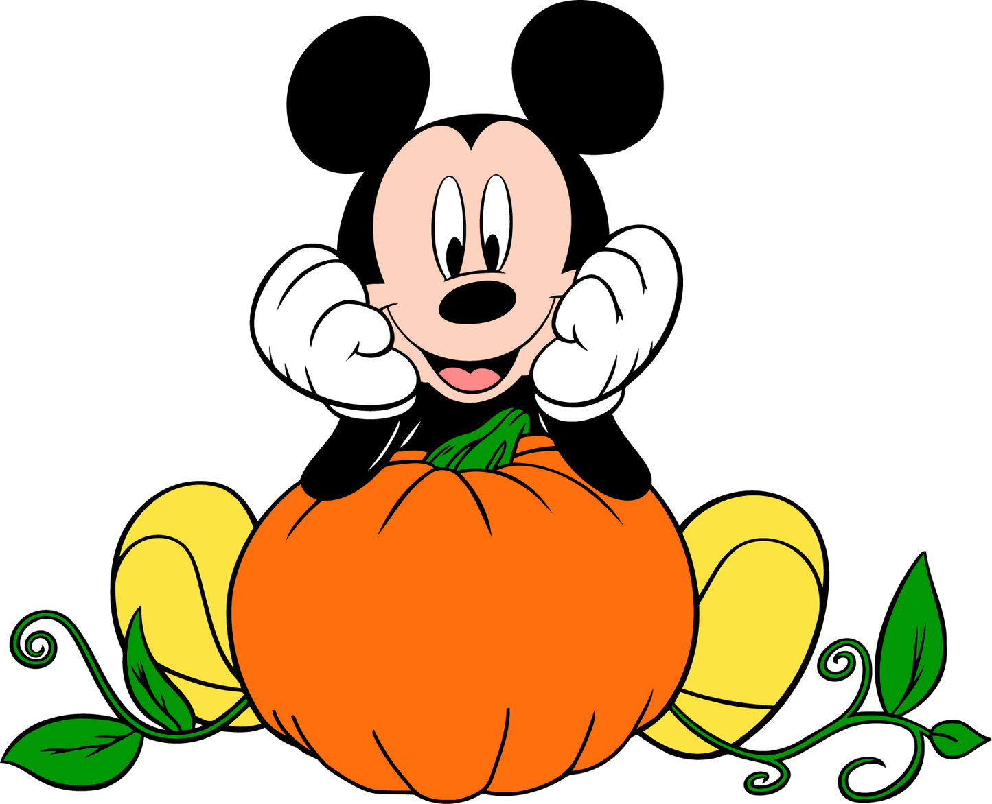 Mickey Pumpkin