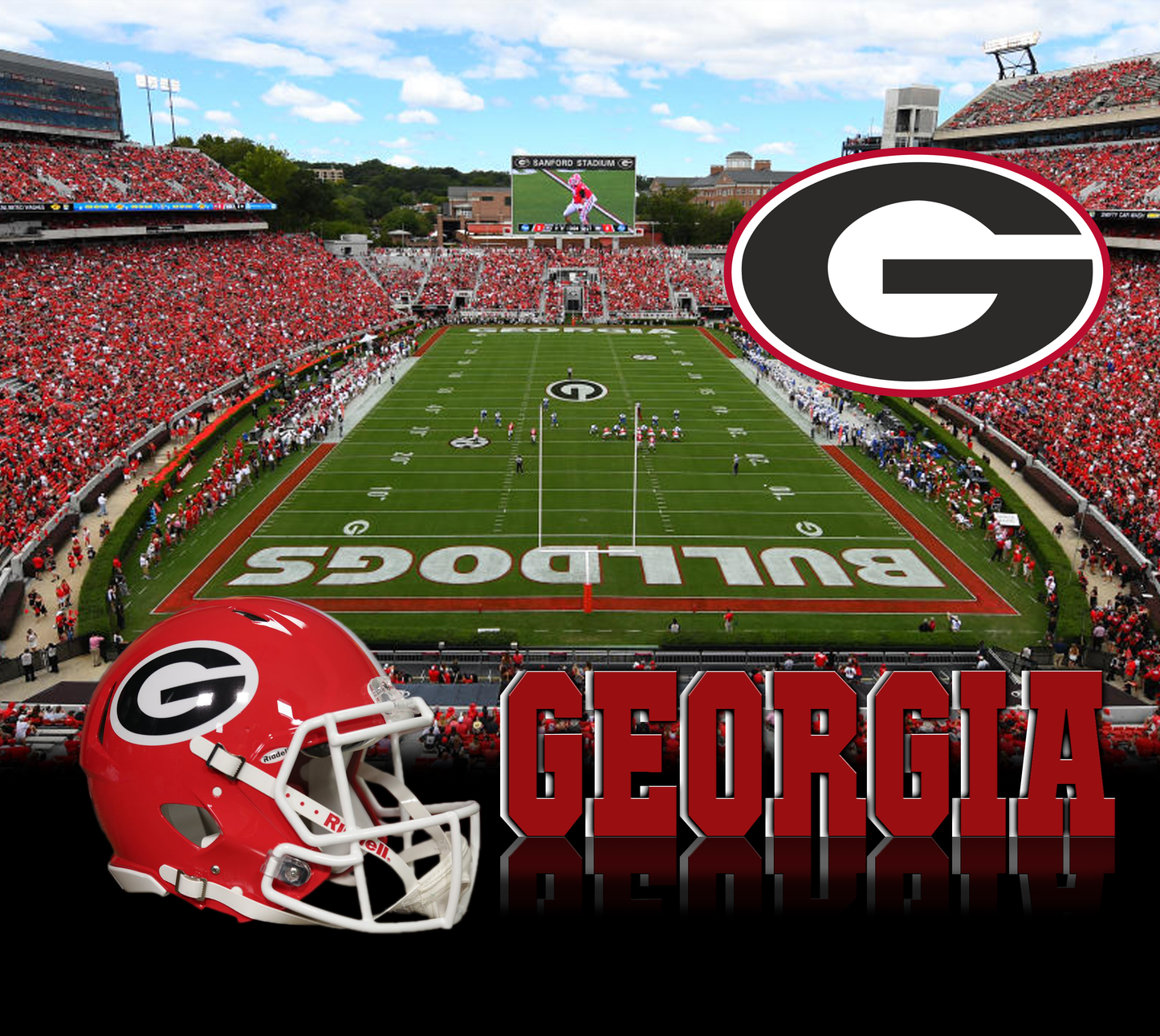 Georgia Bulldogs