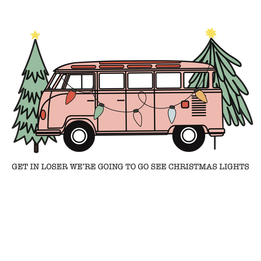 Van Going to see Christmas lights