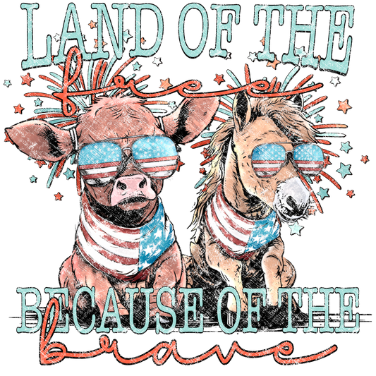 Land of the Free